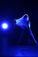 /album/danse-macabre-2024/dsc-8531-21-khalida-metamorfoza-zrod-nocni-mury-jpg/